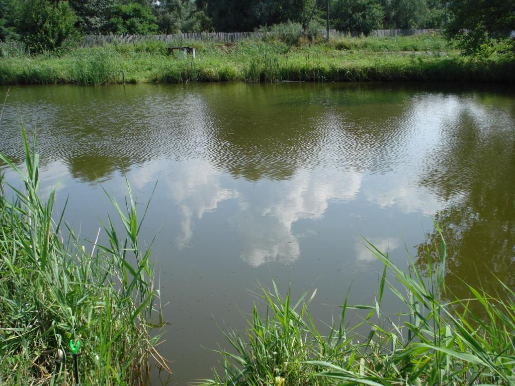 DSC01431.JPG