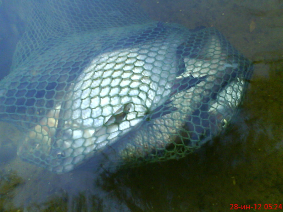 DSC02102.JPG