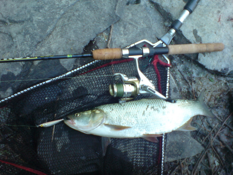 DSC02519.JPG