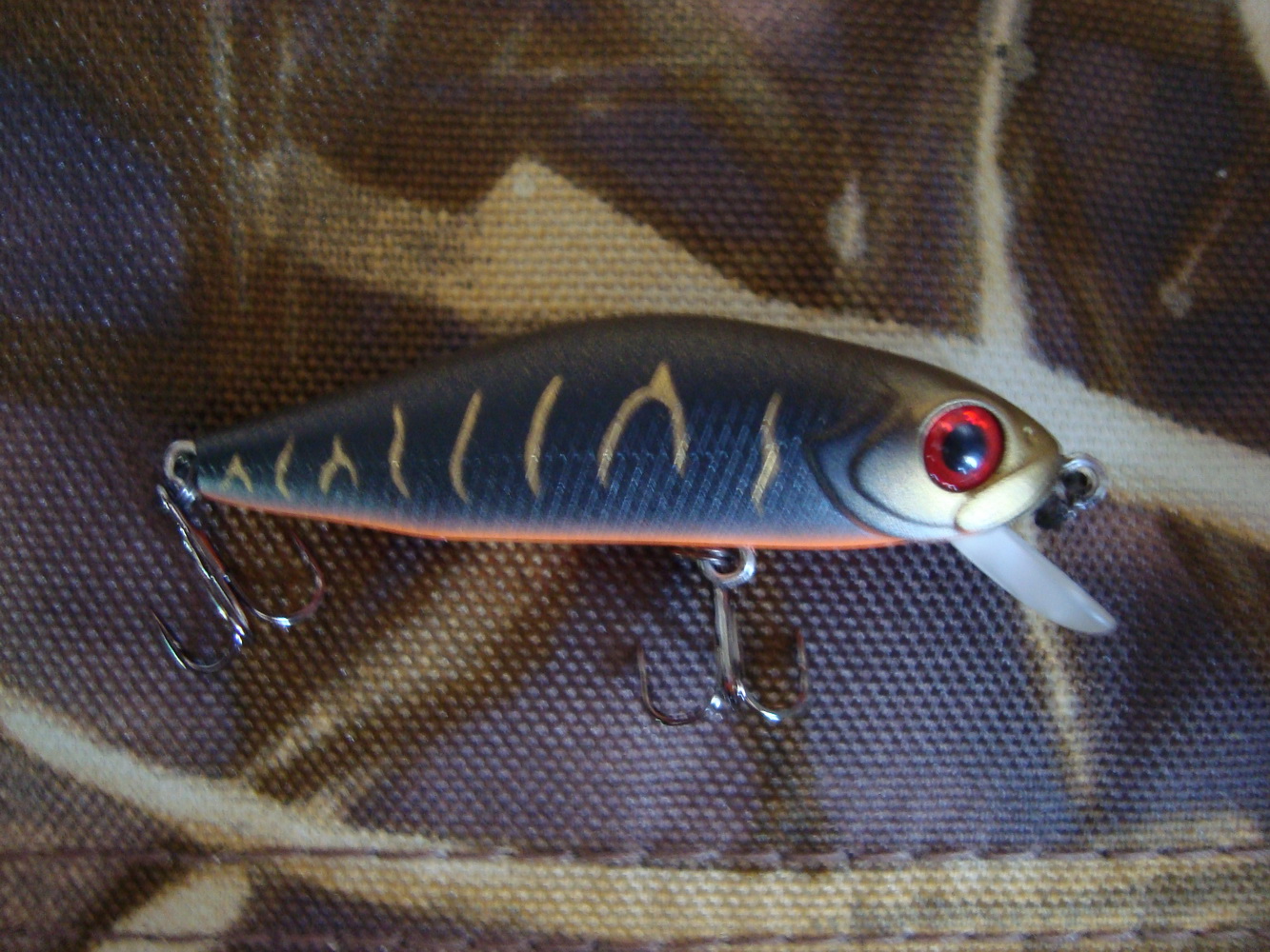 DSC02525.jpg