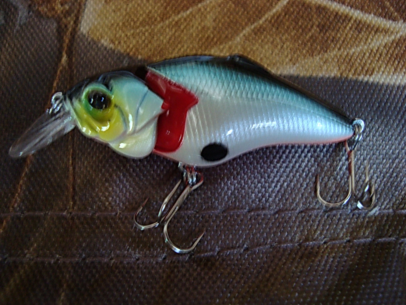 DSC02536.jpg