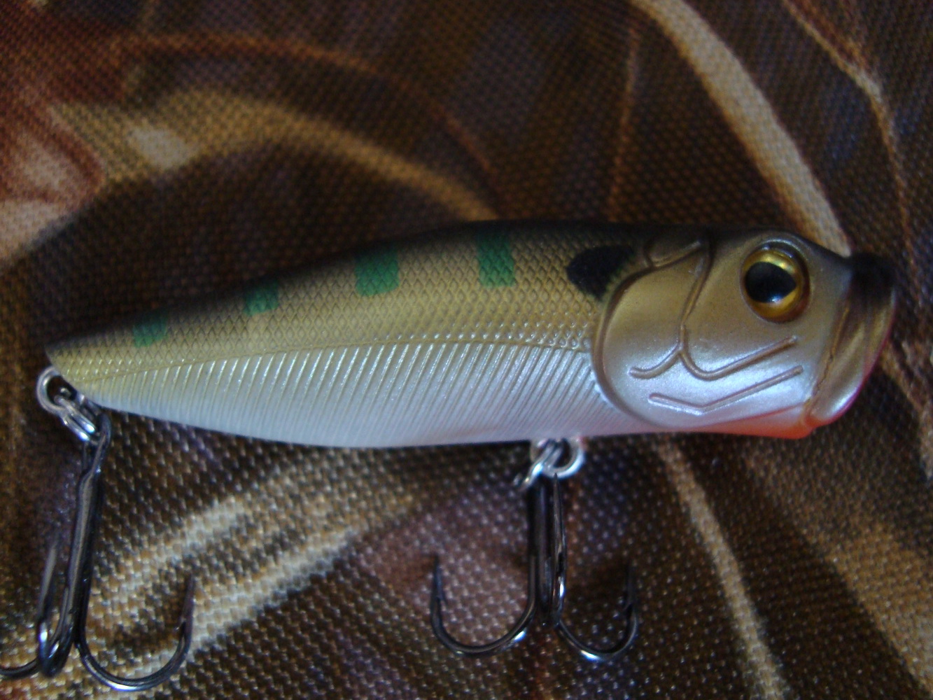 DSC02556.jpg