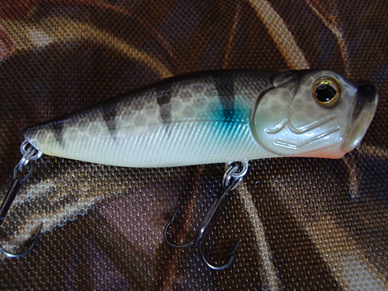 DSC02557.jpg