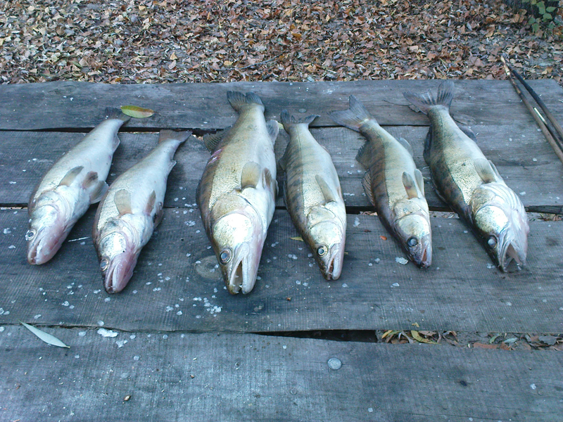 DSC02629 2.jpg