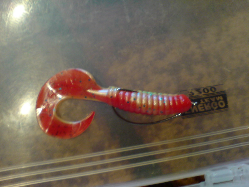 DSC02684.JPG