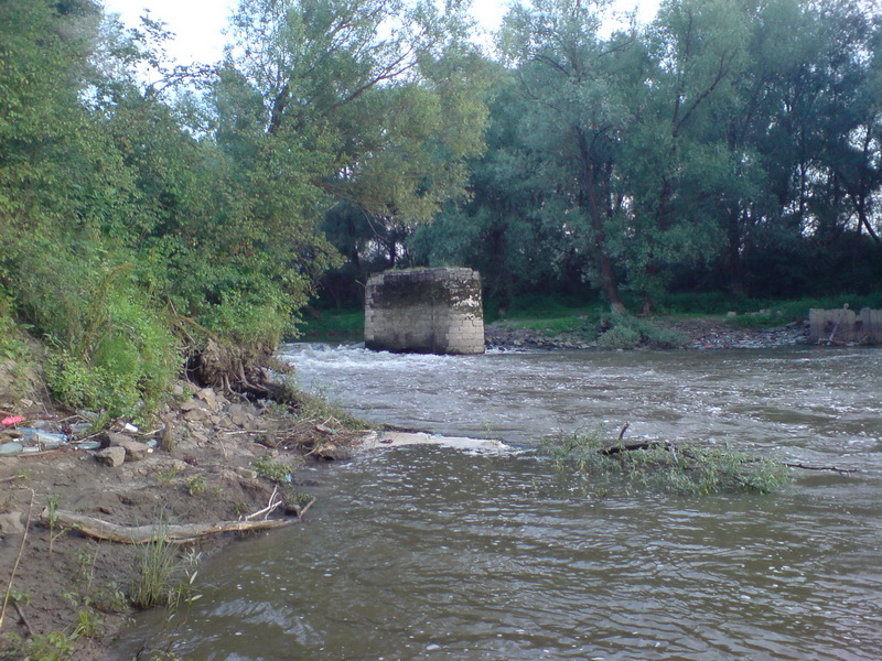 DSC02696.JPG