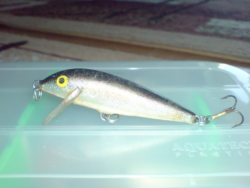 DSC02754.JPG