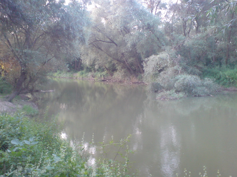 DSC02870.JPG