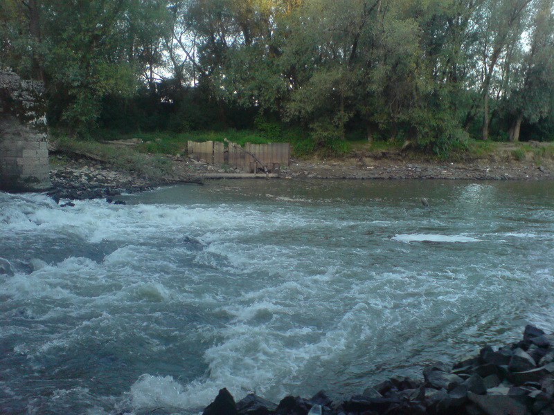DSC02881.JPG