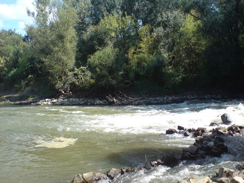 DSC02892.JPG