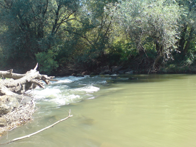 DSC02903.JPG