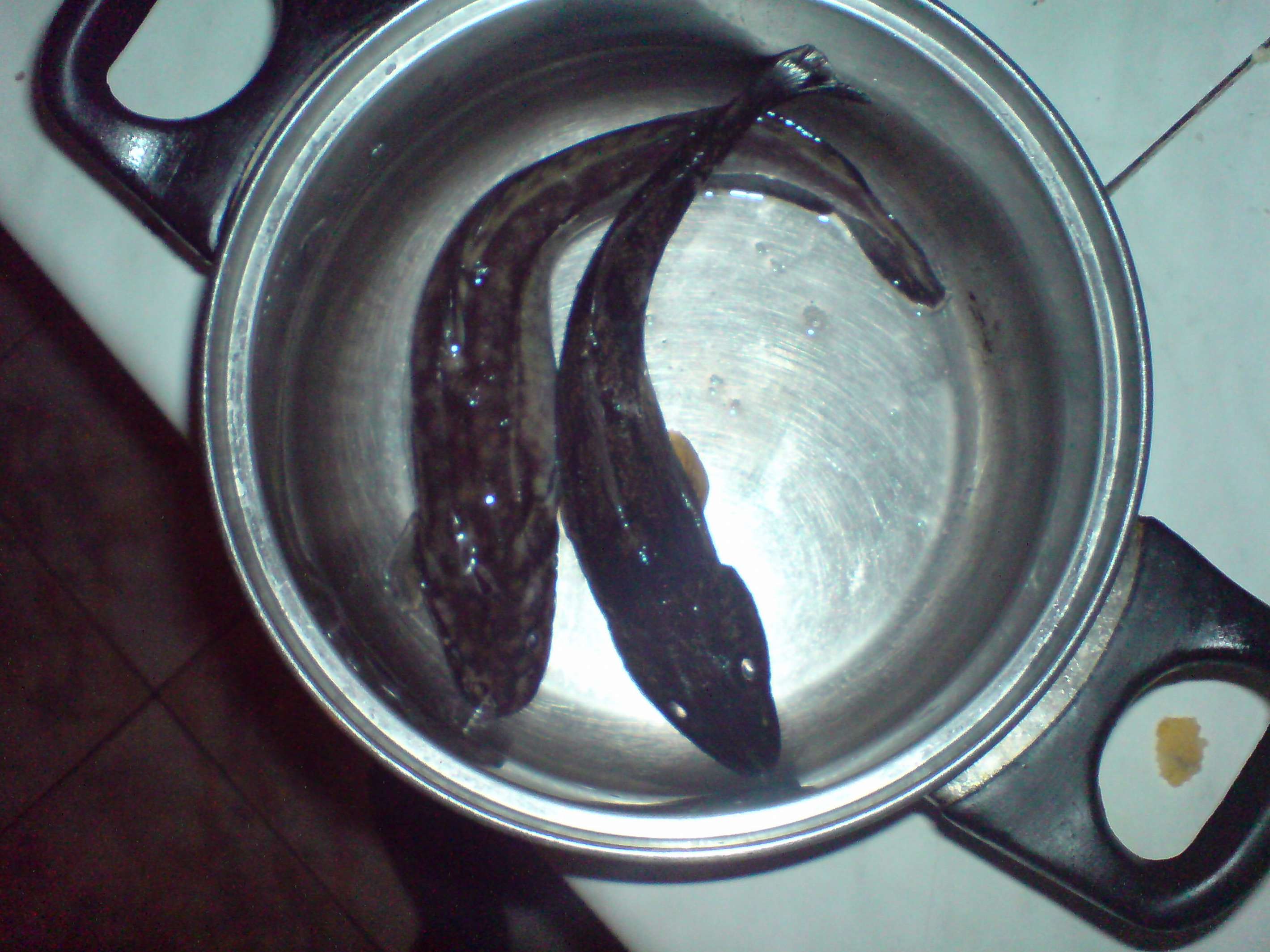 DSC03907_thumb.jpg