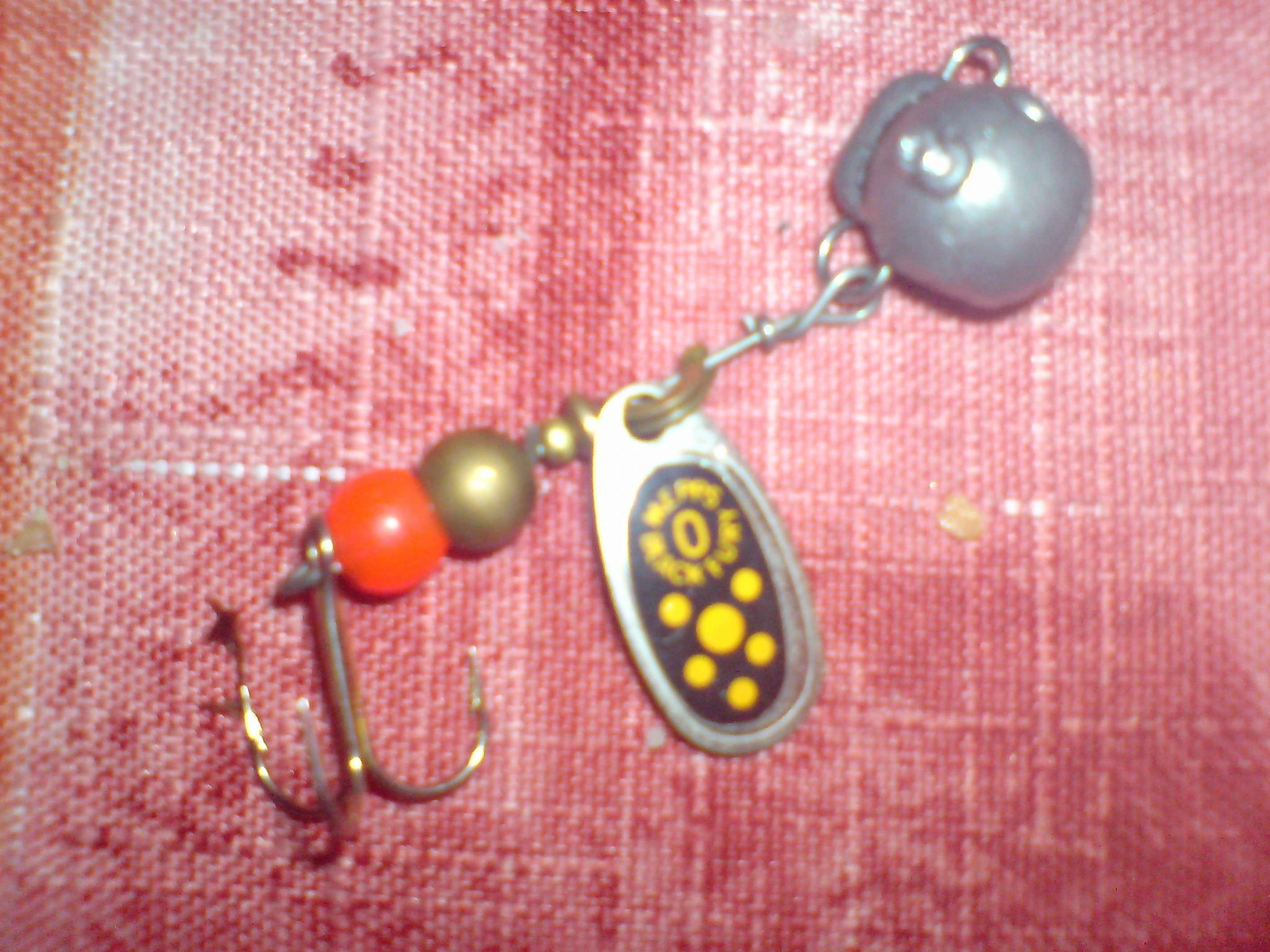 DSC03908_thumb.jpg