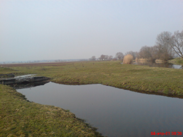DSC04161.JPG