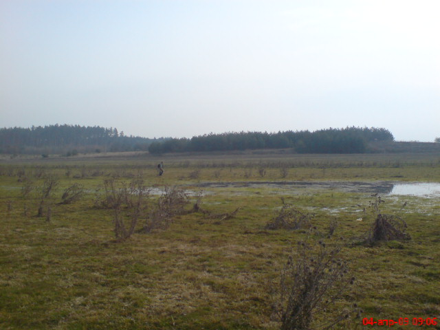 DSC04164.JPG
