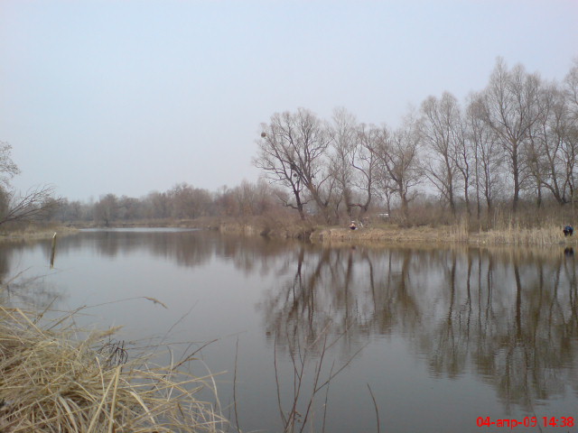 DSC04168.JPG