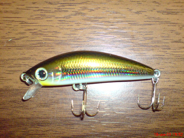 DSC04329.JPG