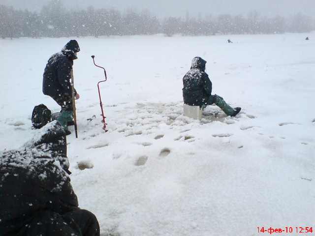 DSC04994.JPG
