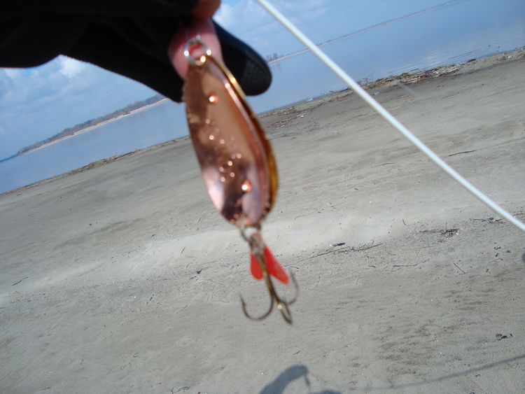 DSC05426.JPG