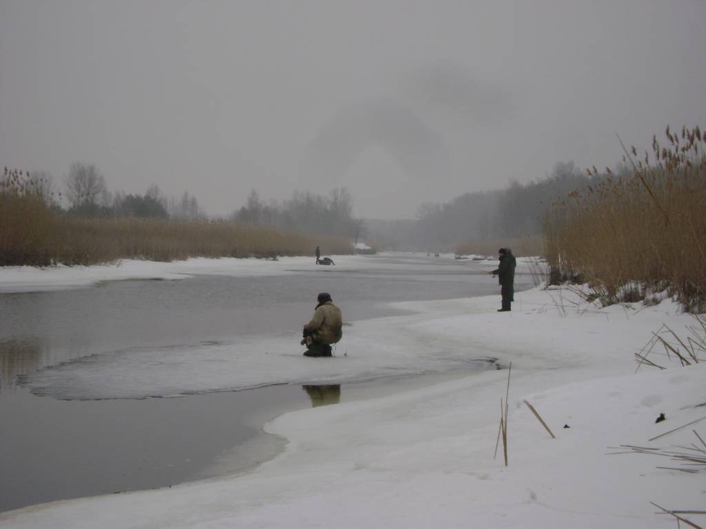 dsc05676_thumb.jpg