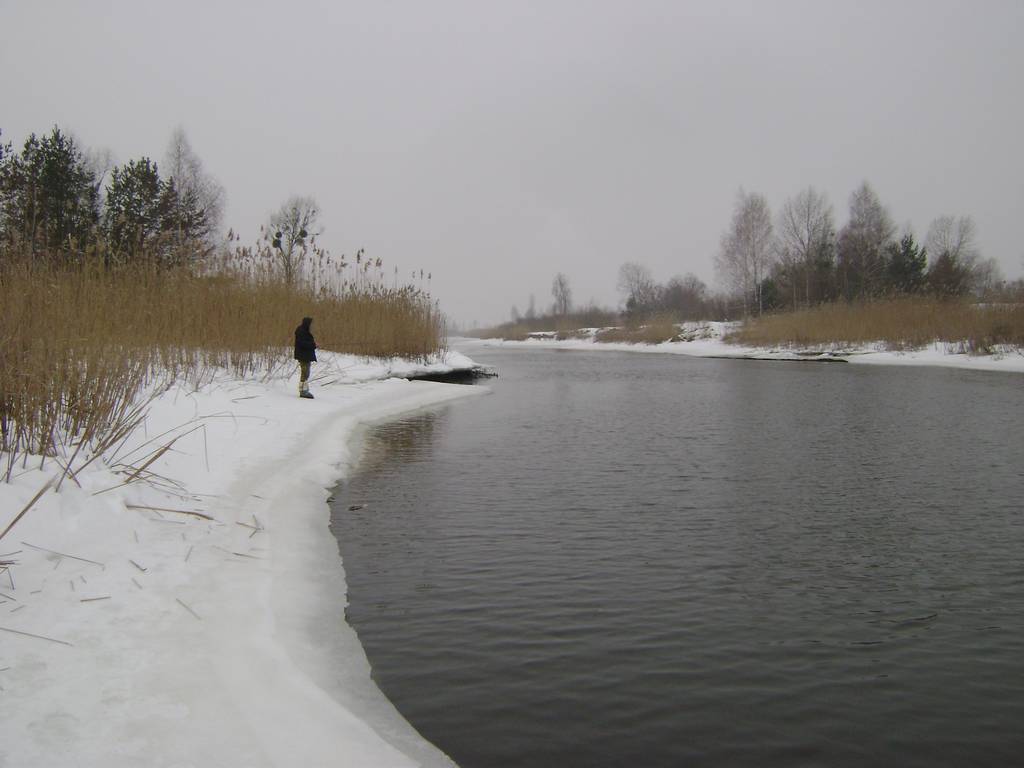 dsc05677_thumb.jpg