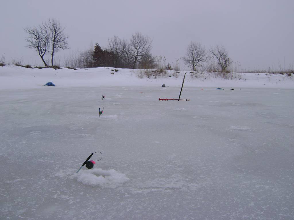 dsc05680_thumb.jpg