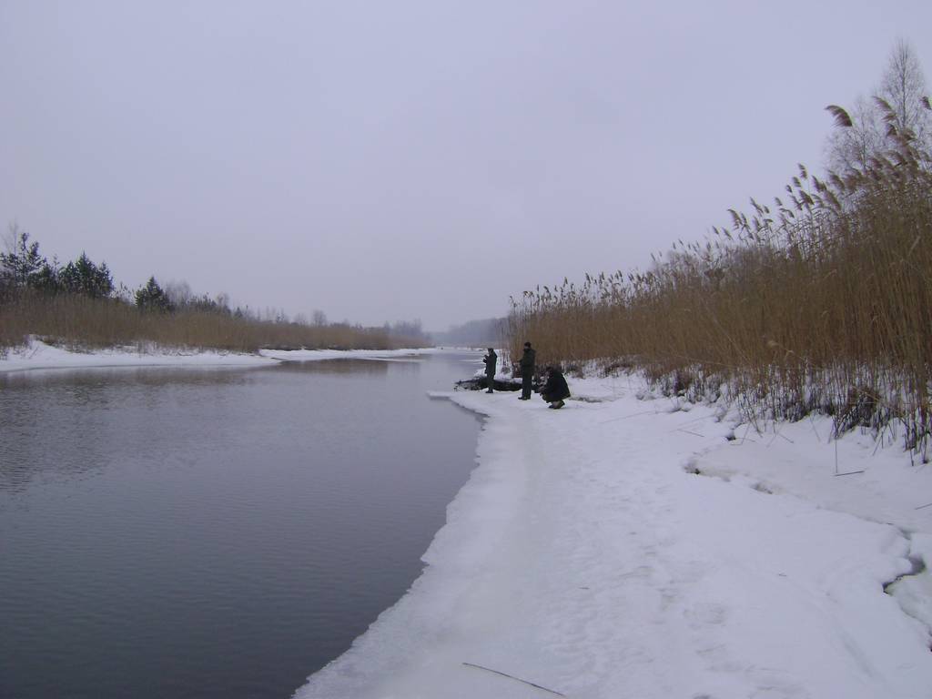 dsc05683_thumb.jpg