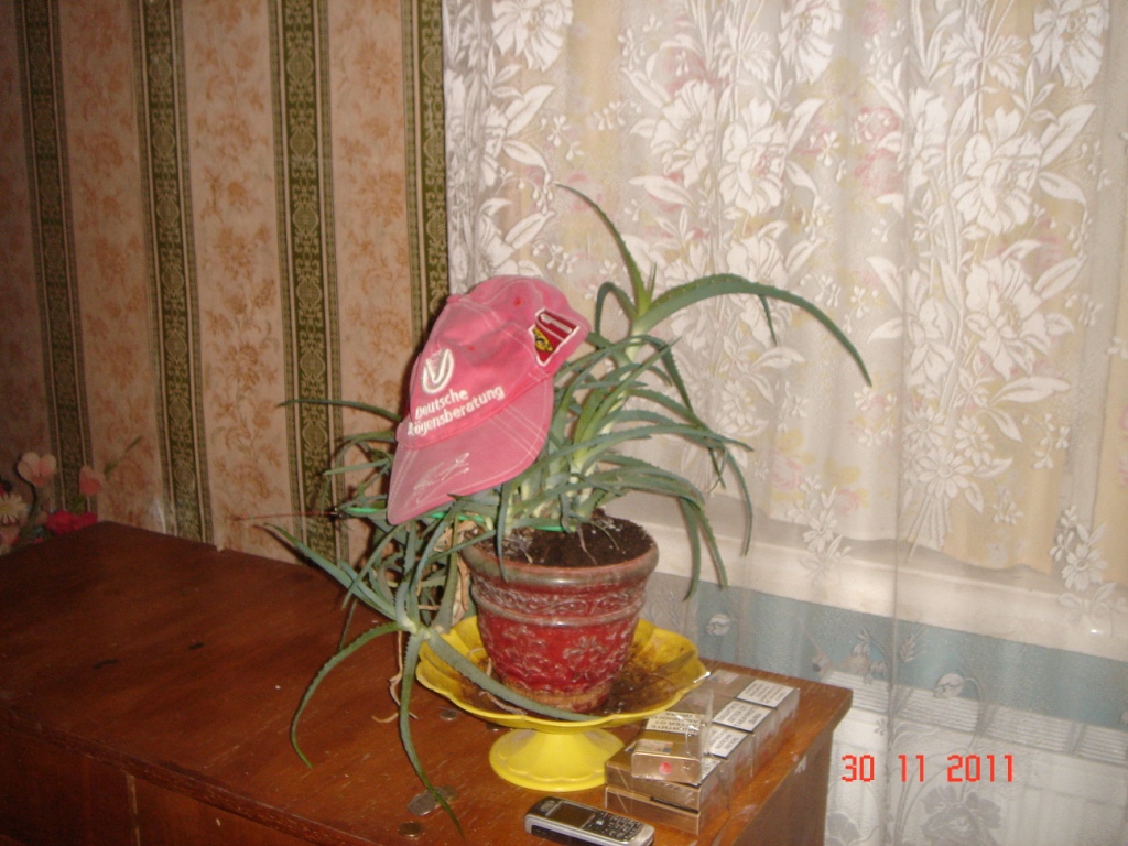 DSC06127.JPG