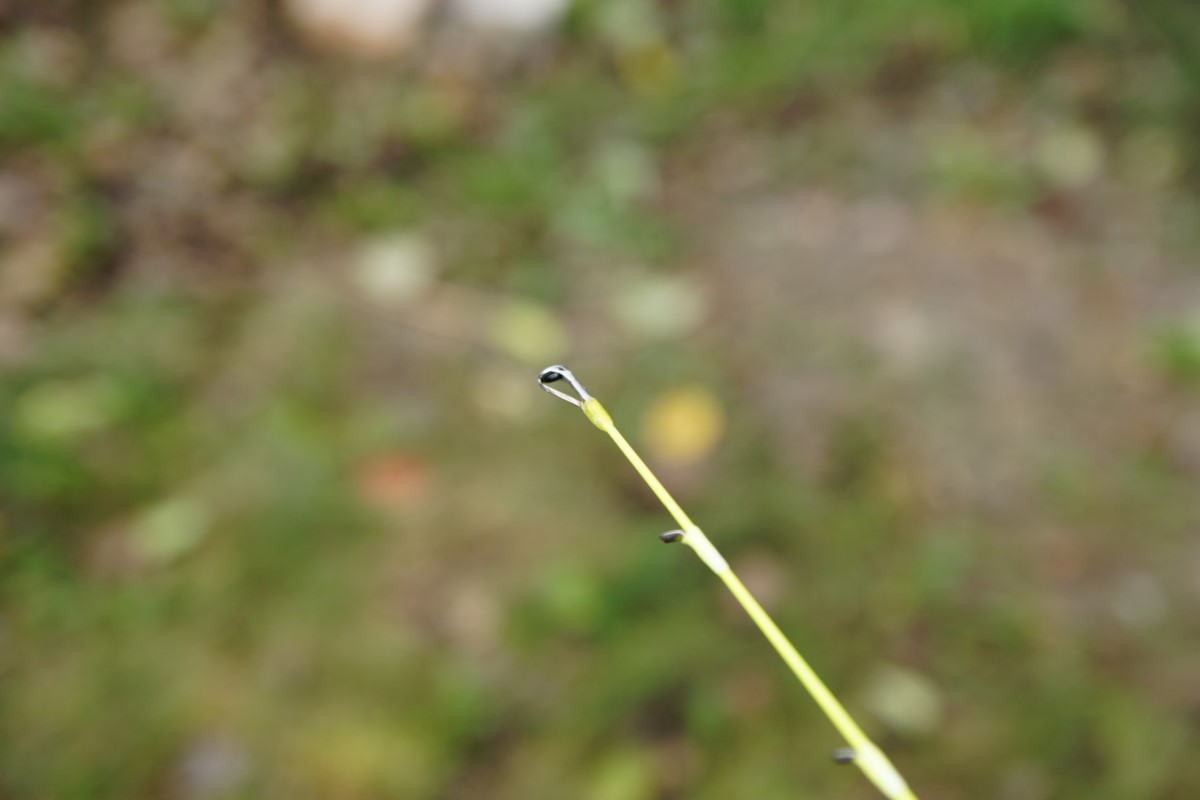 DSC07551 [1600x1200].JPG