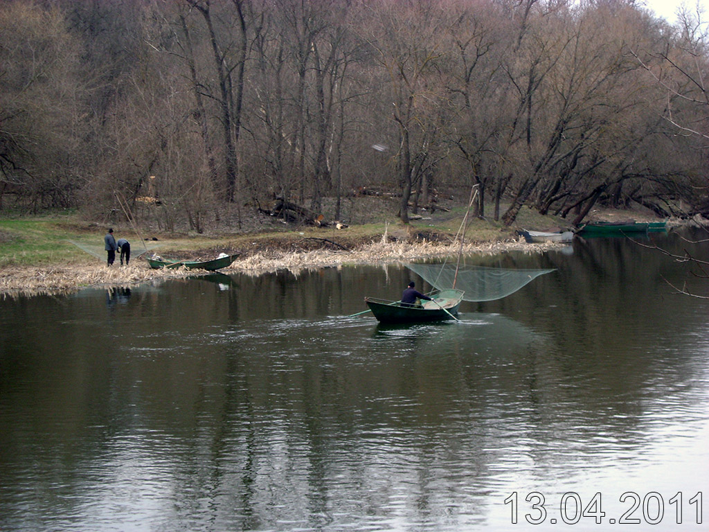 DSC07985x.jpg