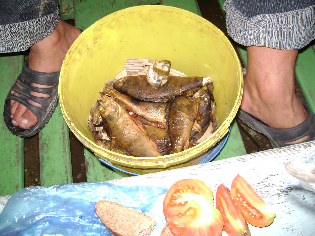 DSC08006.JPG