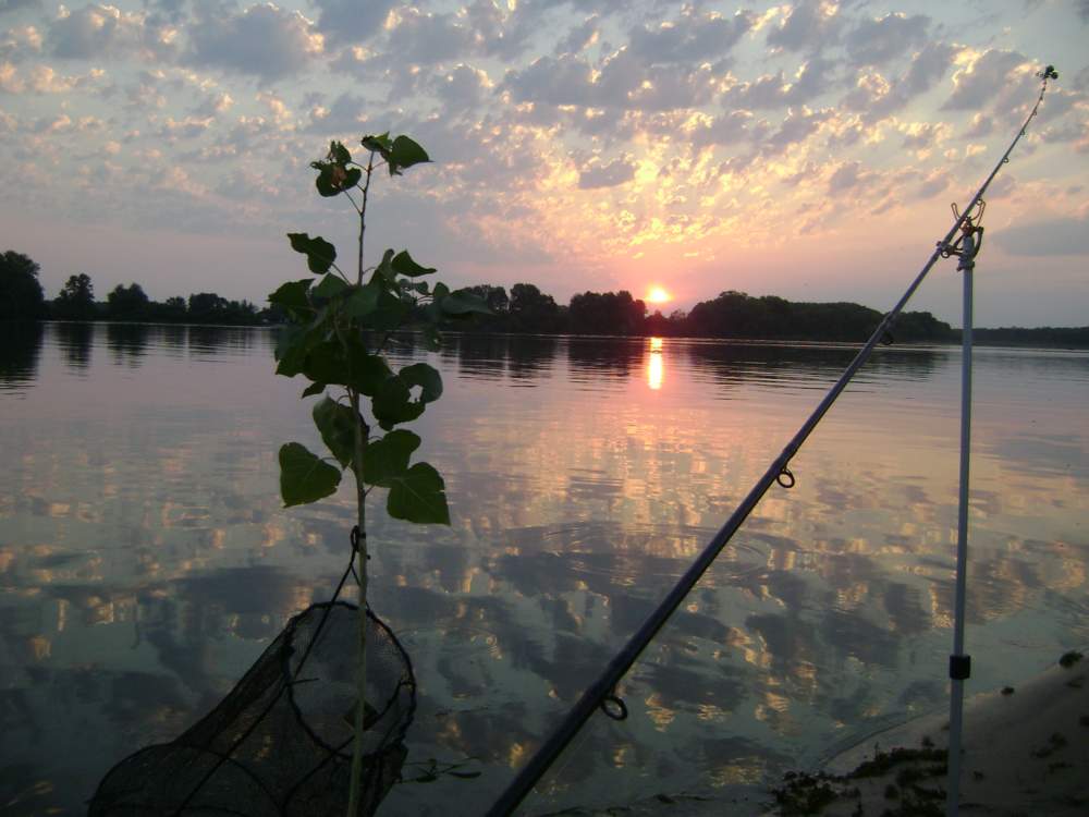 DSC09593_thumb.jpg