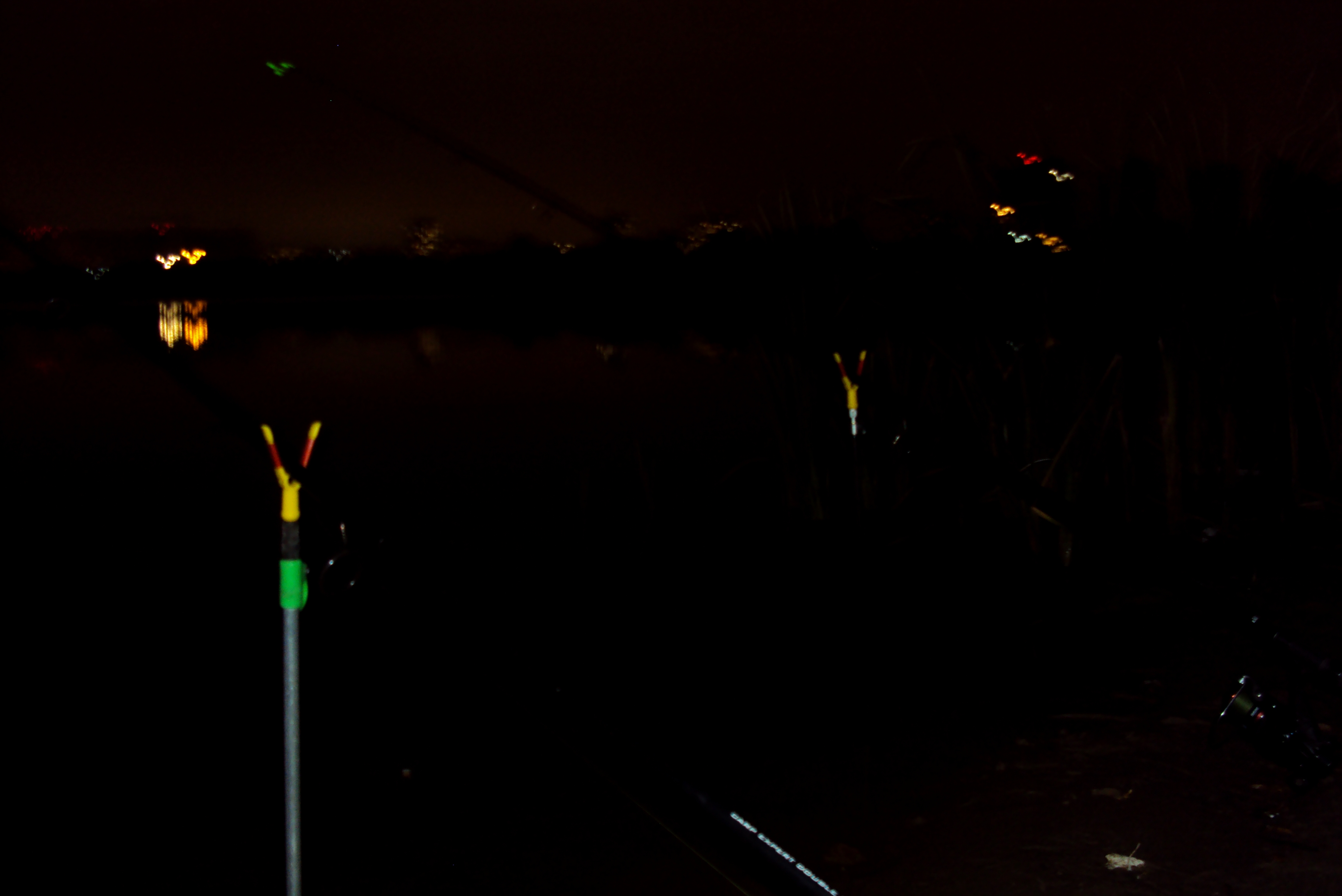 DSC09800.JPG