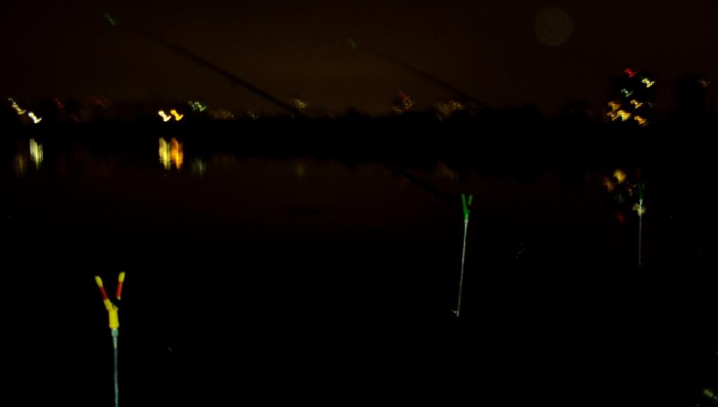 DSC09818.JPG