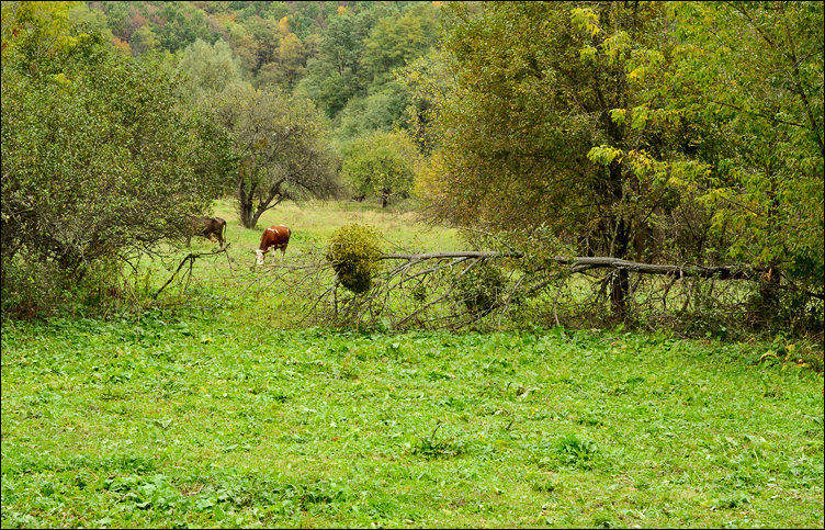 DSC_0001.jpg