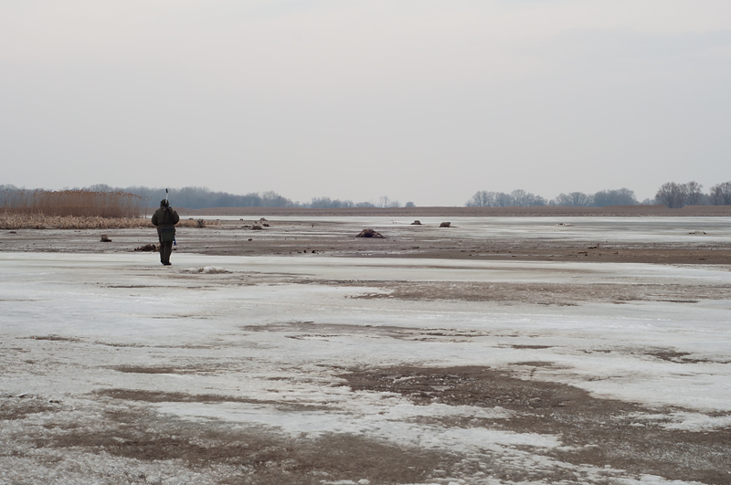 DSC_0006.jpg