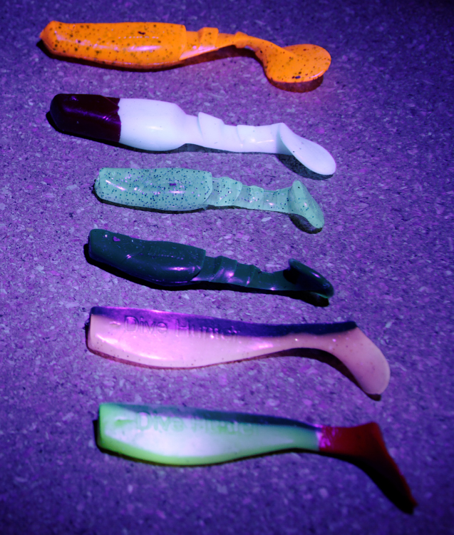 DSC_0011_DxO_raw.JPG