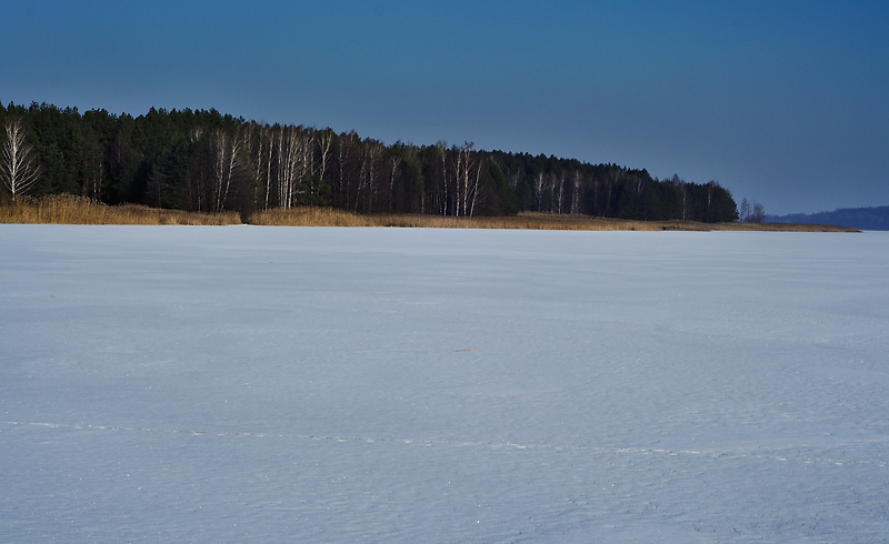 DSC_0017.jpg