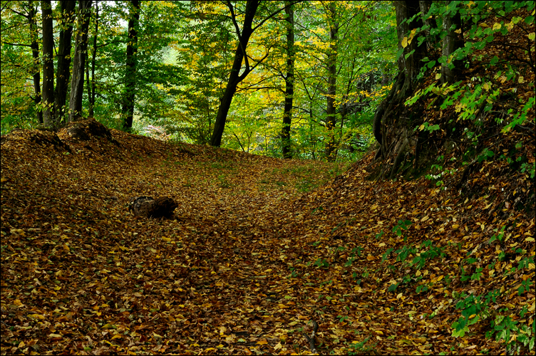 DSC_0025.jpg