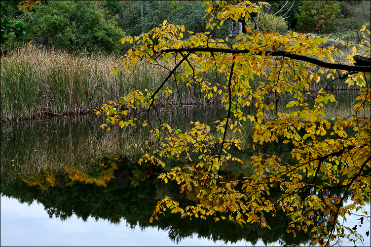 DSC_0027.jpg