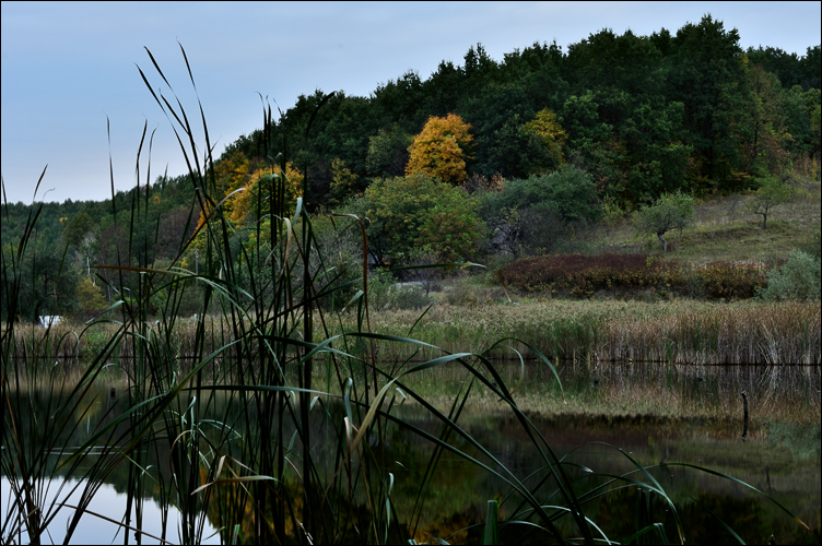 DSC_0028.jpg