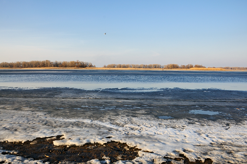 DSC_0039.jpg