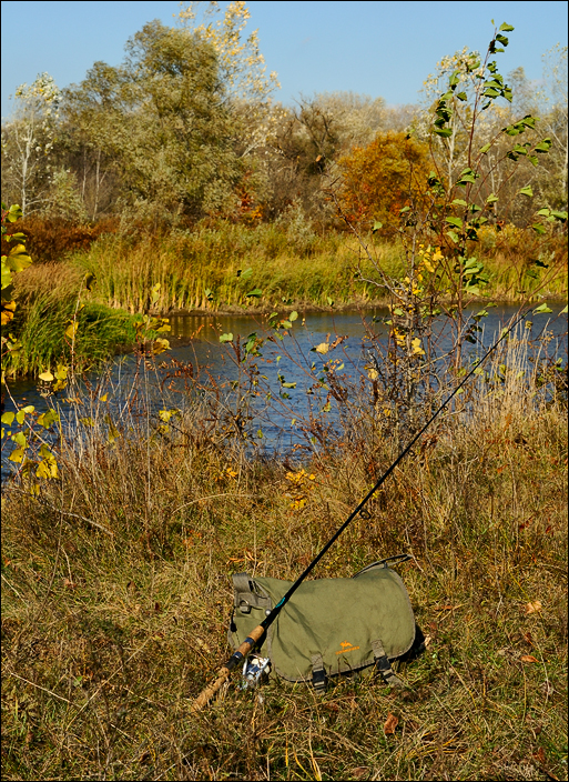 DSC_0049.jpg