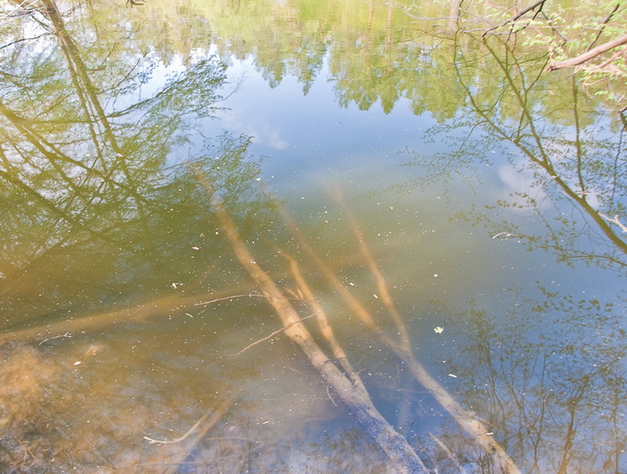 DSC_0075.jpg