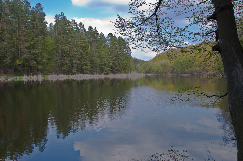 DSC_0083.jpg