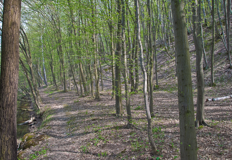 DSC_0085.jpg
