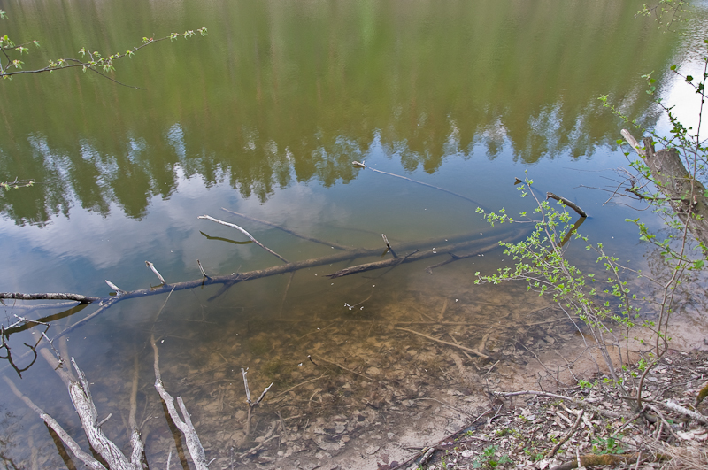 DSC_0089.jpg