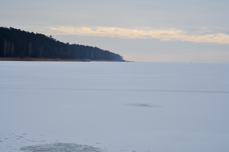 DSC_009.jpg