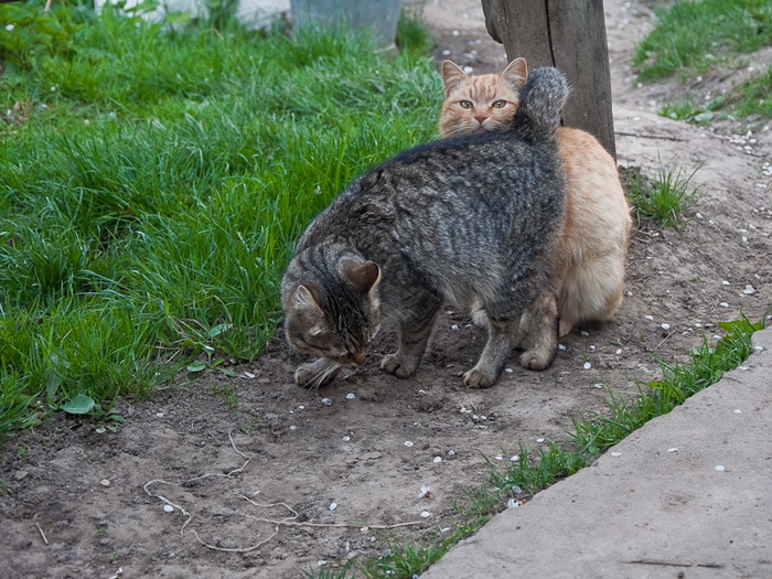 DSC_0134.jpg