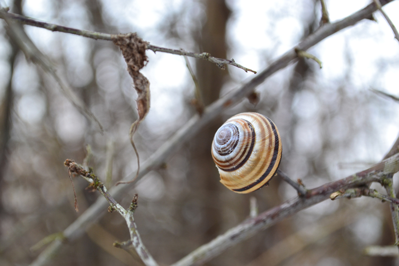 DSC_01891.jpg